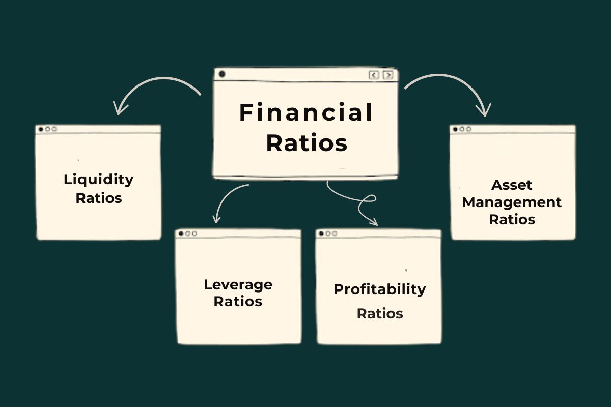 financial statements and ratios